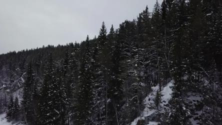 Similar image 22531293