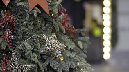 Similar image 22531463