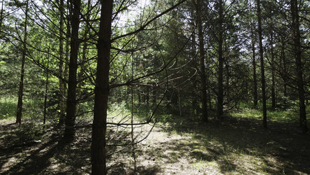 Similar image 22531580