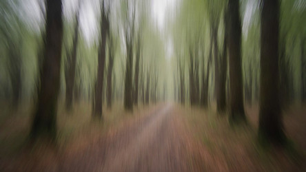 Similar image 22499597