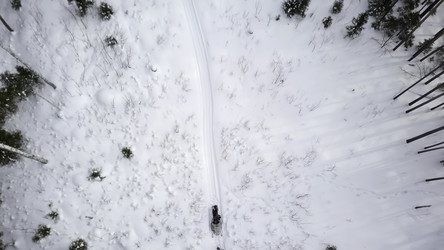 Similar image 22502828