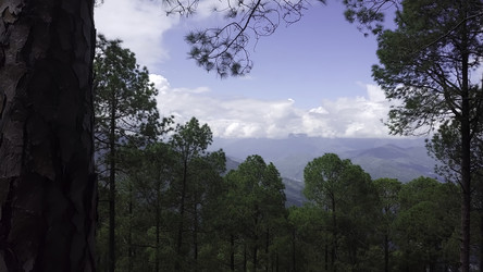 Similar image 22503974