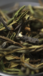 Similar image 22504603