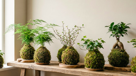 Similar image 22489998