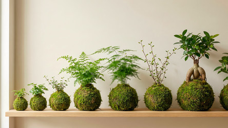 Similar image 22489999