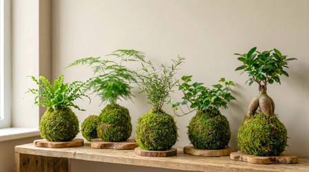 Similar image 22490000