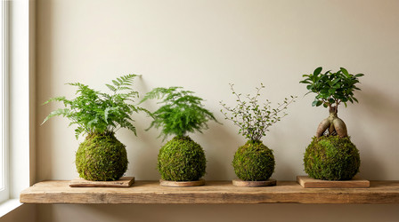 Similar image 22490001