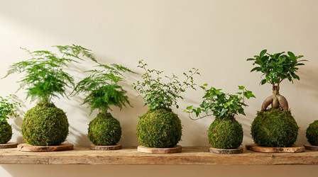 Similar image 22489983