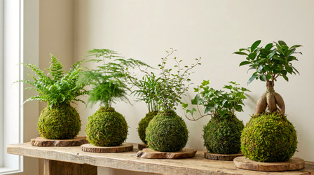 Similar image 22489985