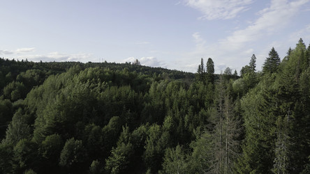 Similar image 22502122