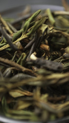 Similar image 22502440