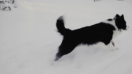 Similar image 22502573