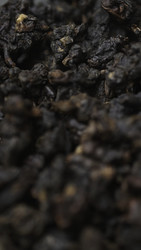 Similar image 22504126