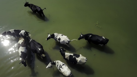 Similar image 22504168