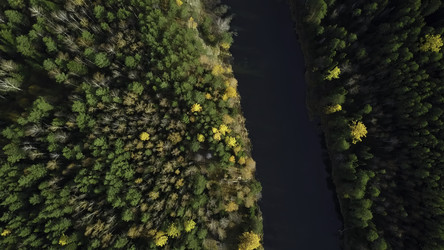 Similar image 22504216