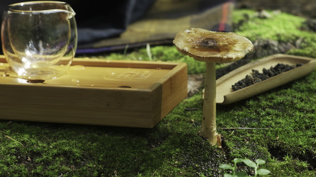 Similar image 22504380