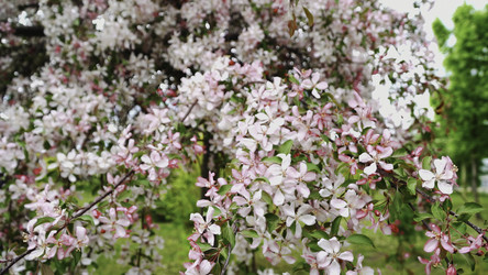 Similar image 22531138