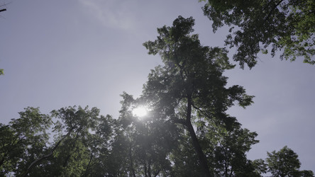 Similar image 22531211