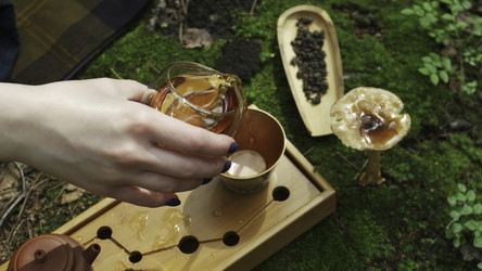 Similar image 22531345