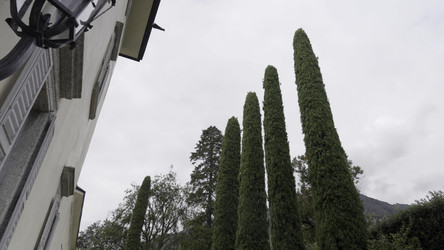 Similar image 22531441