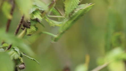 Similar image 22502752