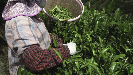 Similar image 22502830