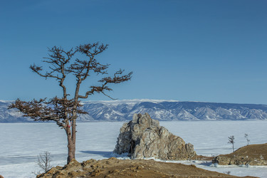 Similar image 22490019