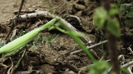 Similar image 22504484