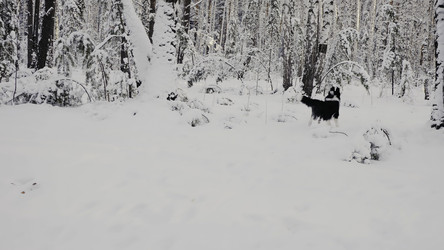 Similar image 22504695