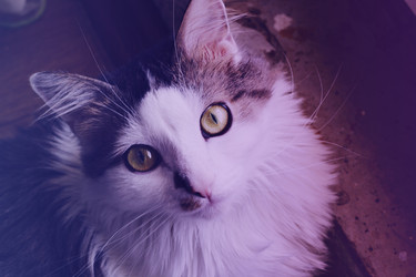 Similar image 22497605