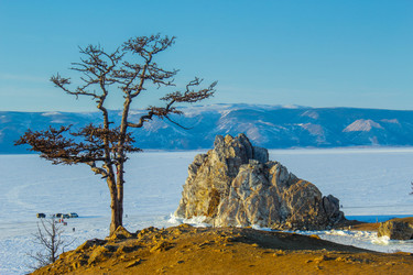 Similar image 22490024