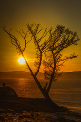 Similar image 22490030