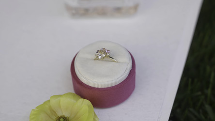 Similar image 22502516