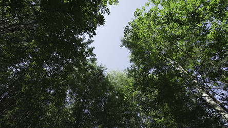 Similar image 22503008