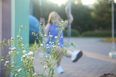 Similar image 22497611