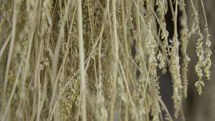 Similar image 22504667