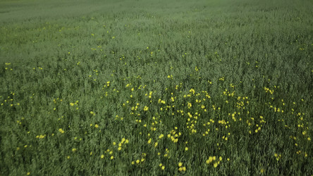 Similar image 22525952