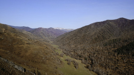 Similar image 22530991