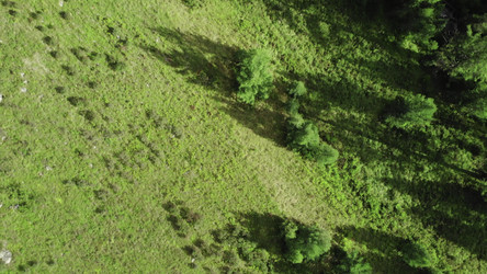 Similar image 22502620