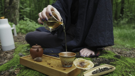 Similar image 22502845