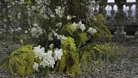 Similar image 22502938