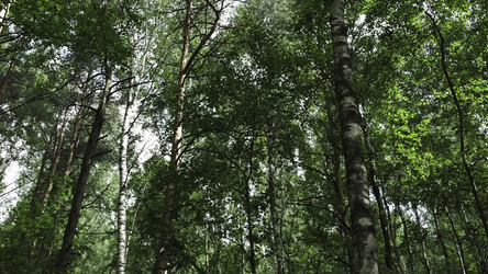 Similar image 22502981