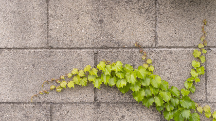 Similar image 22497685