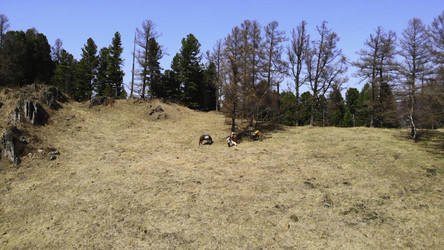 Similar image 22531117