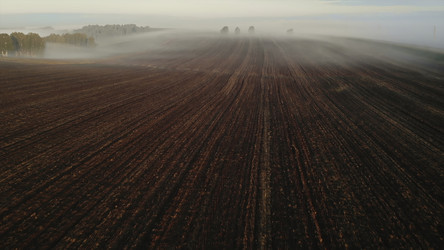 Similar image 22499776