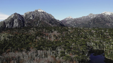 Similar image 22499807