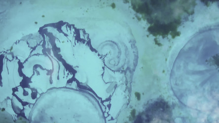 Similar image 22499835