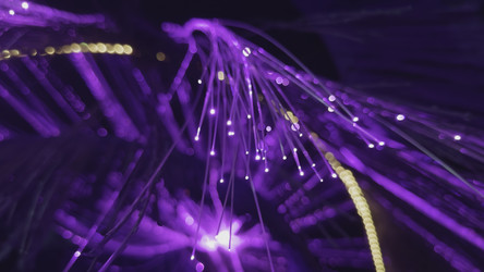 Similar image 22499836