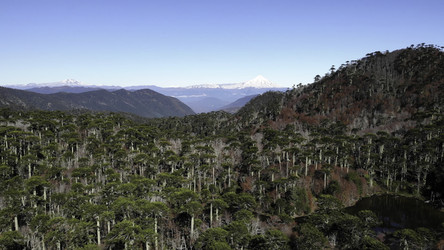 Similar image 22499934