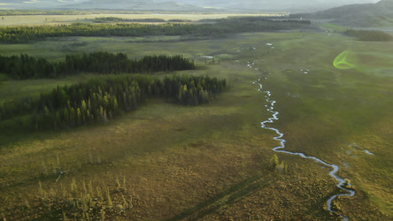 Similar image 22503501